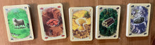 Load image into Gallery viewer, The resource cards with braille on them