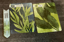 Load image into Gallery viewer, The private garden marker and tarragon and bay. Tarragon is spelled wrong in the braille and I noticed that when taking this picture so that's fixed now if you care.
